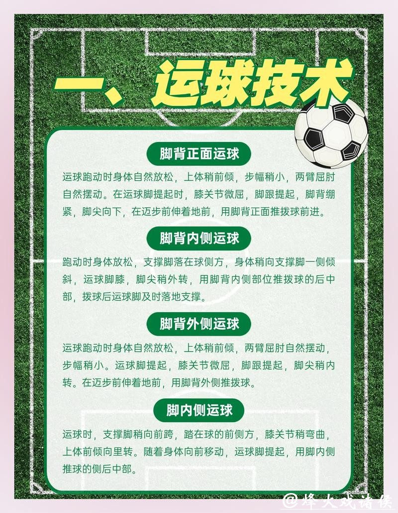 世界杯外围赛的安全与安保措施策略